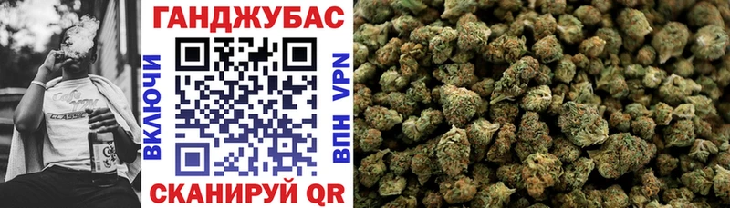 OMG как войти  Рубцовск  Марихуана конопля  дарнет шоп 